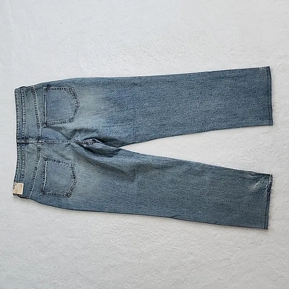 Anthroplogie Pilcro High Rise Vintage Straight Jeans NEW WITH TAGS