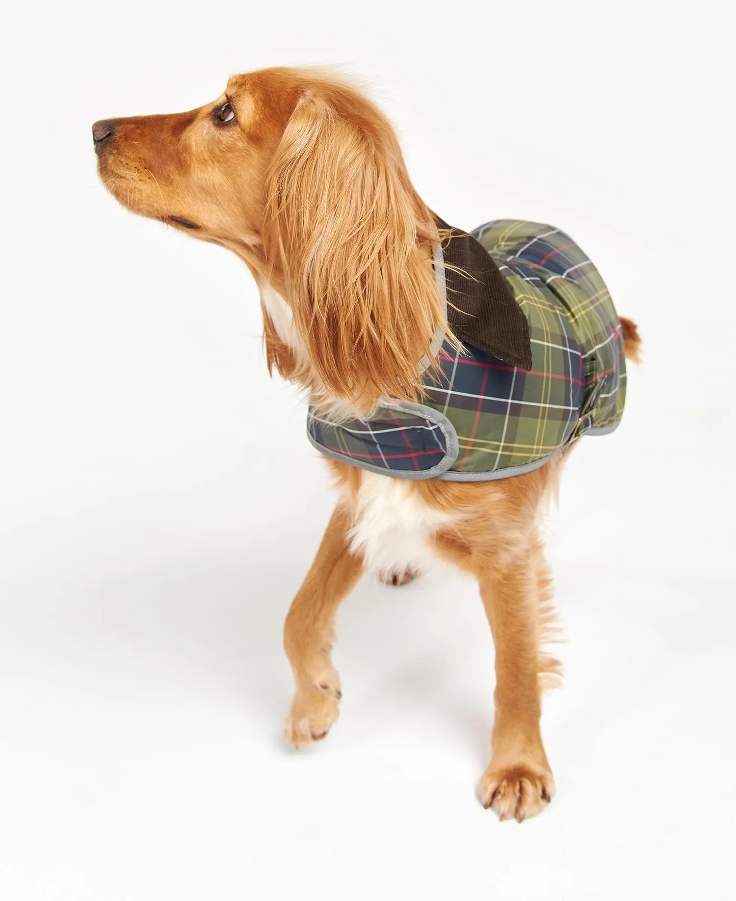 Barbour Wetherham Tartan Dog Coat