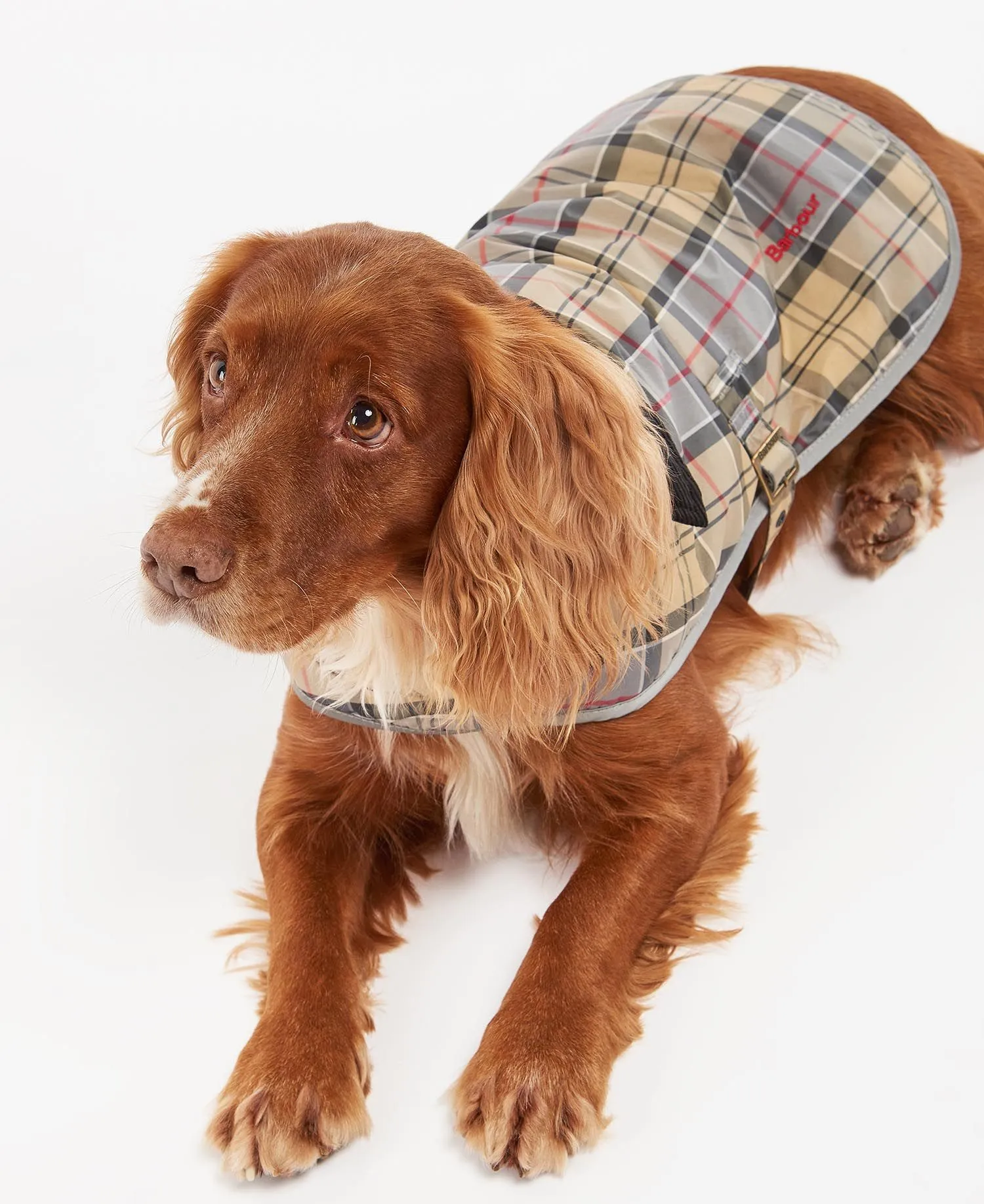 Barbour Wetherham Tartan Dog Coat