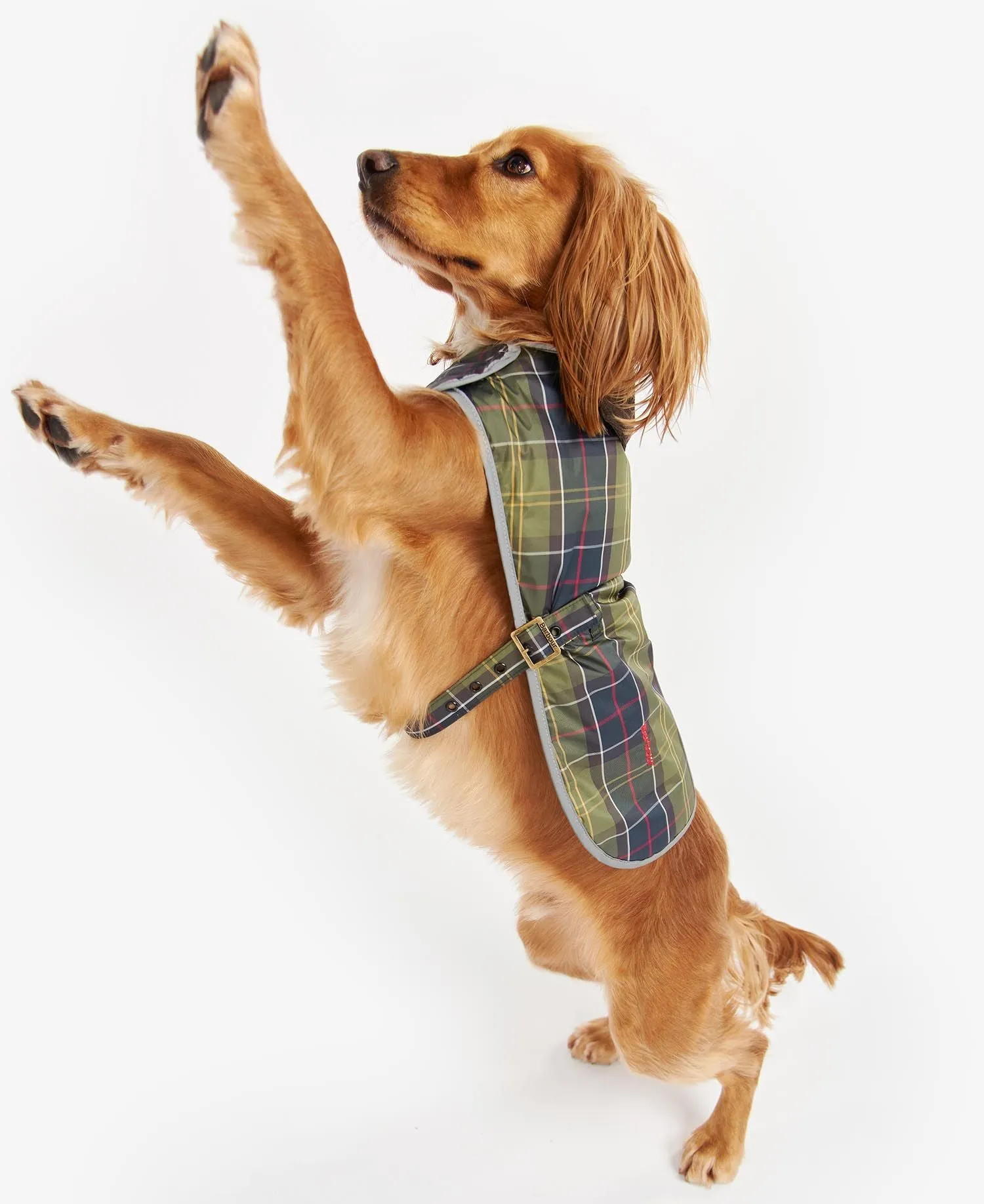 Barbour Wetherham Tartan Dog Coat