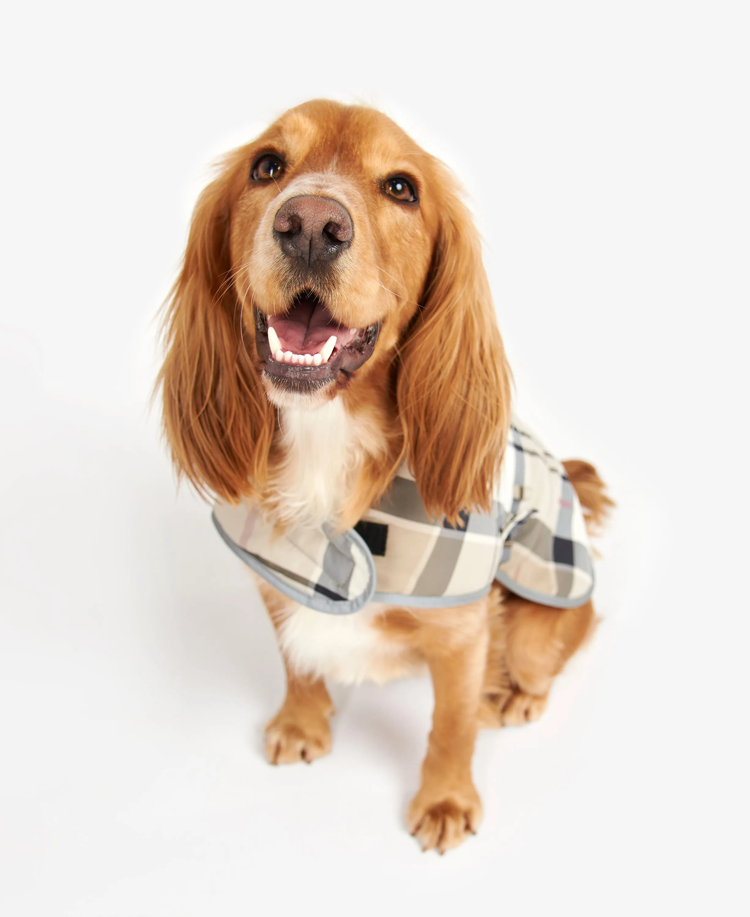 Barbour Wetherham Tartan Dog Coat
