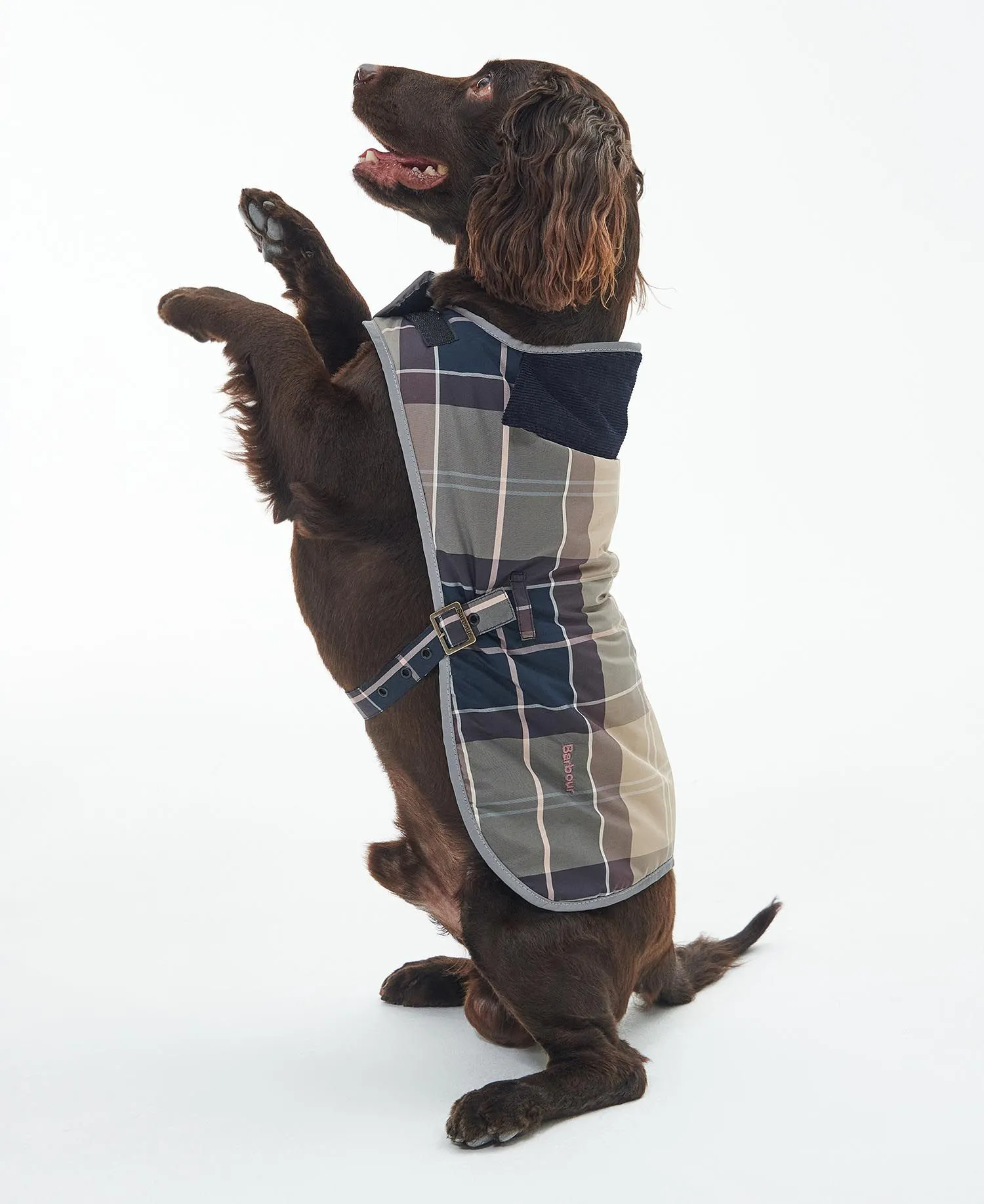 Barbour Wetherham Tartan Dog Coat