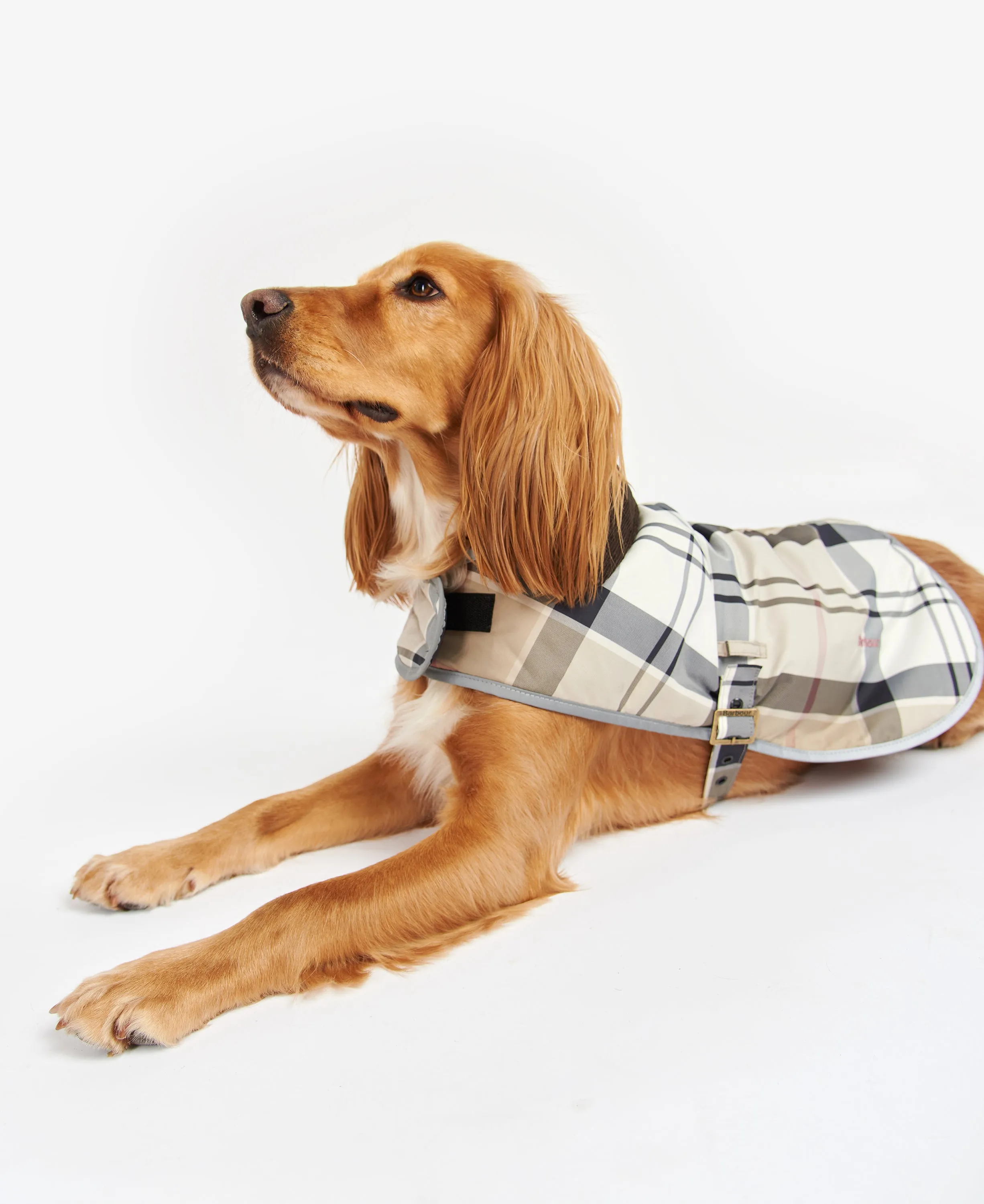 Barbour Wetherham Tartan Dog Coat