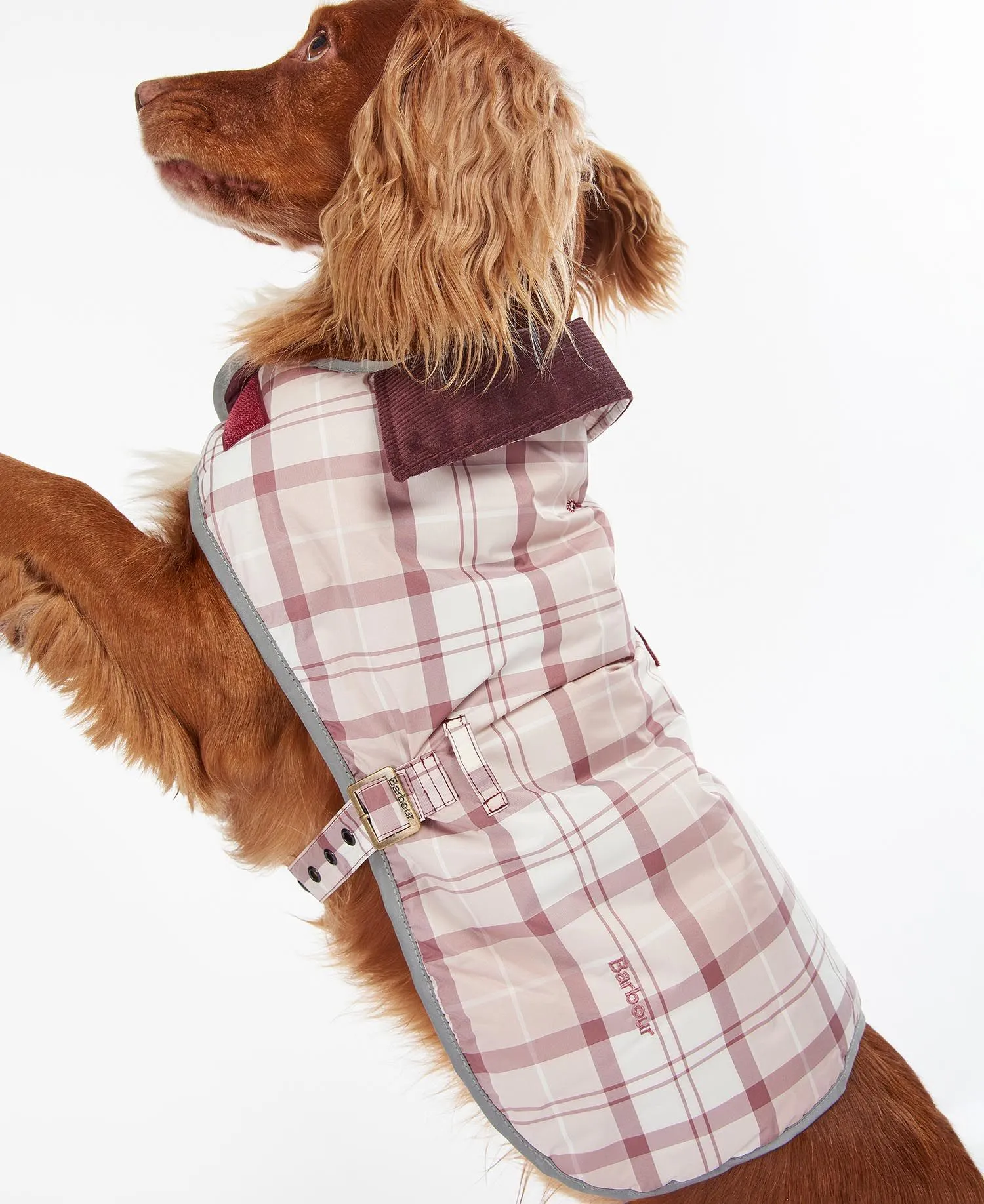 Barbour Wetherham Tartan Dog Coat