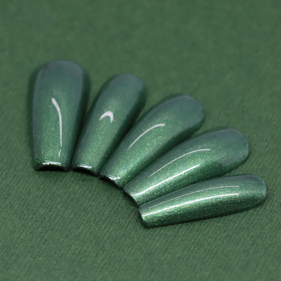 Dimension Nails - Terai-Duar Savanna - Mugger Crocodile