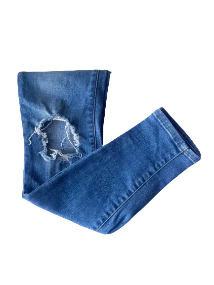 Frame Le Skinny de Jeanne Distressed