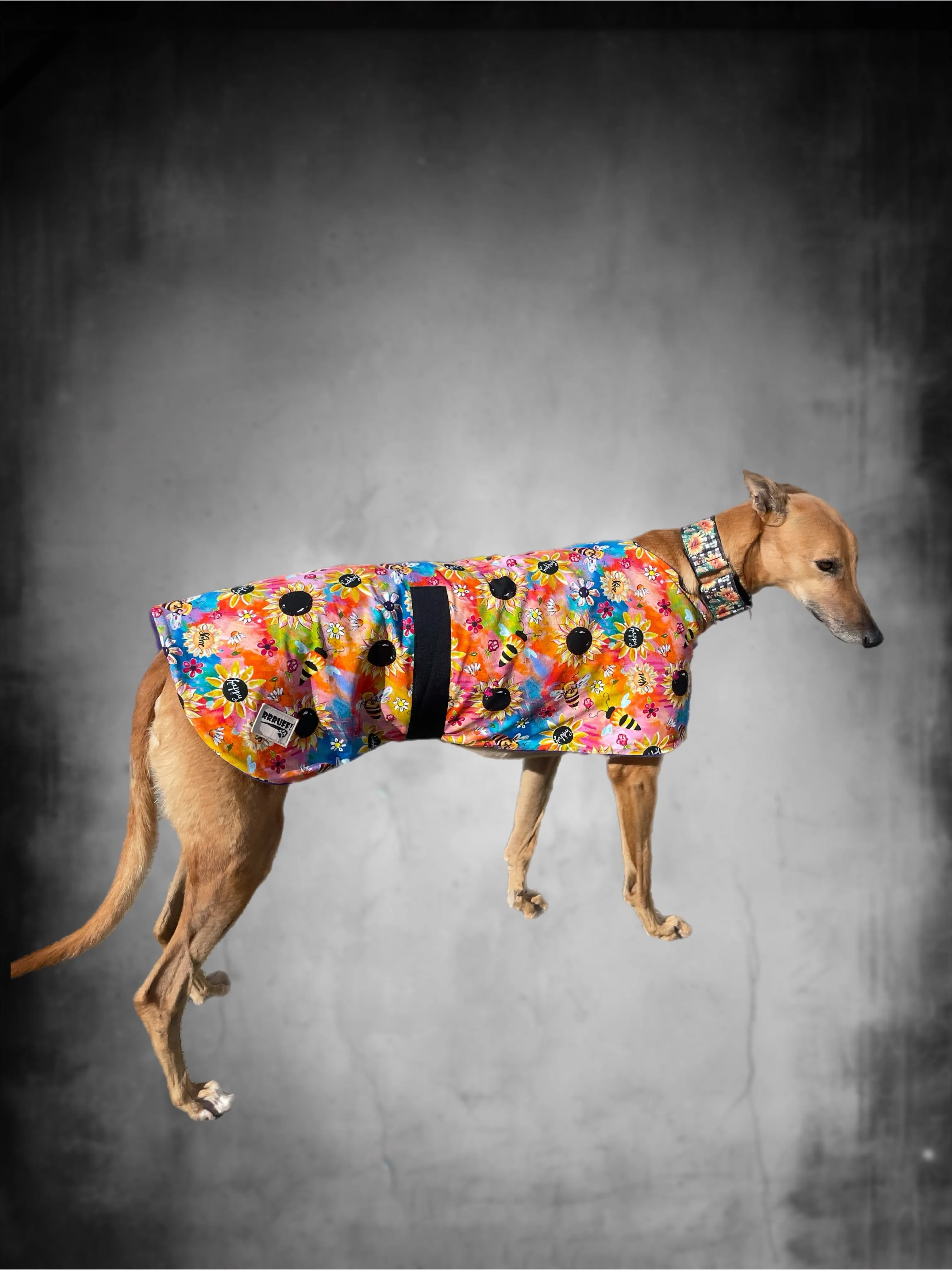 Happy buzz bees classic style Greyhound coat in a lightweight cotton & plush fleece combo washable