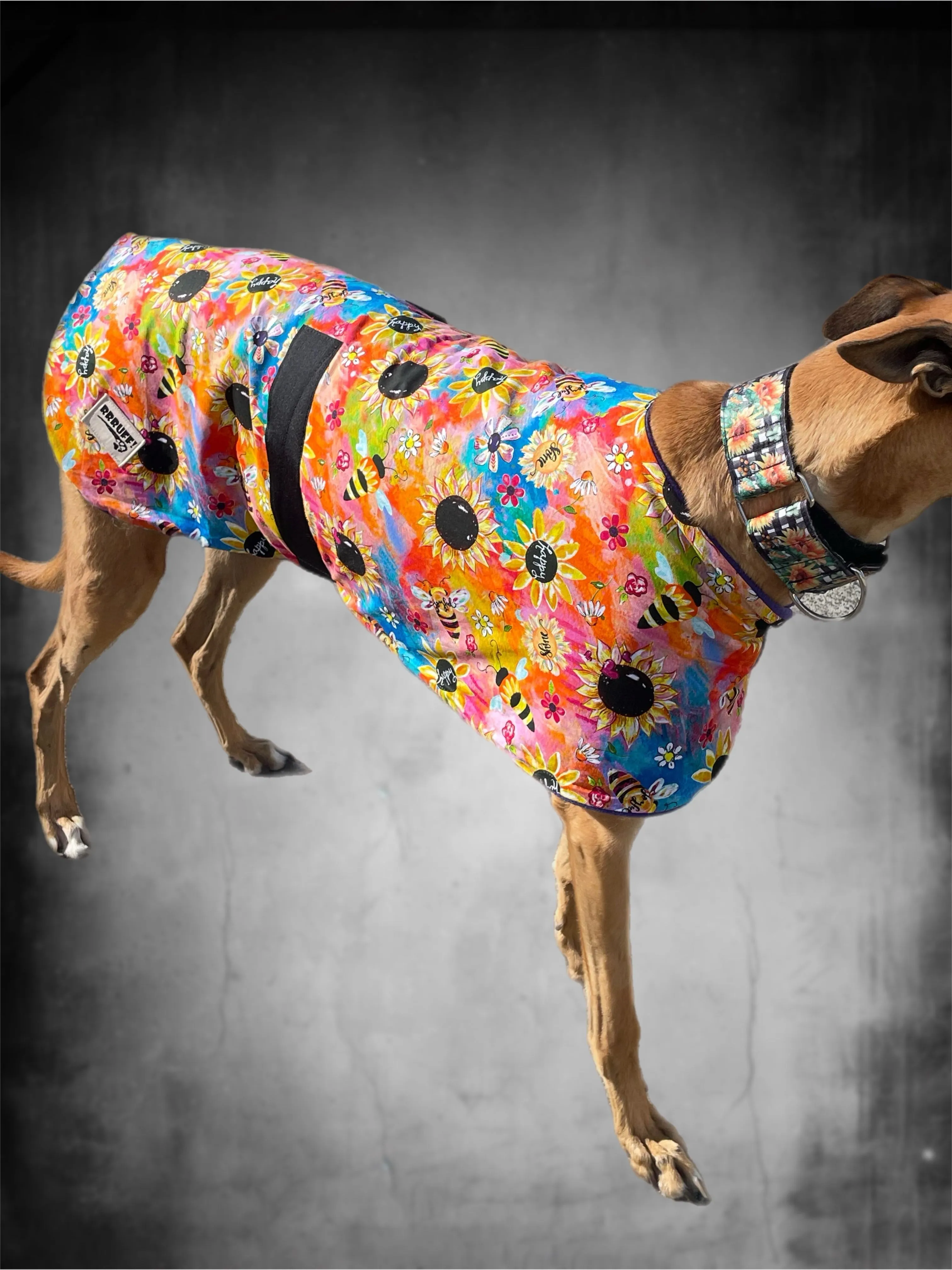 Happy buzz bees classic style Greyhound coat in a lightweight cotton & plush fleece combo washable