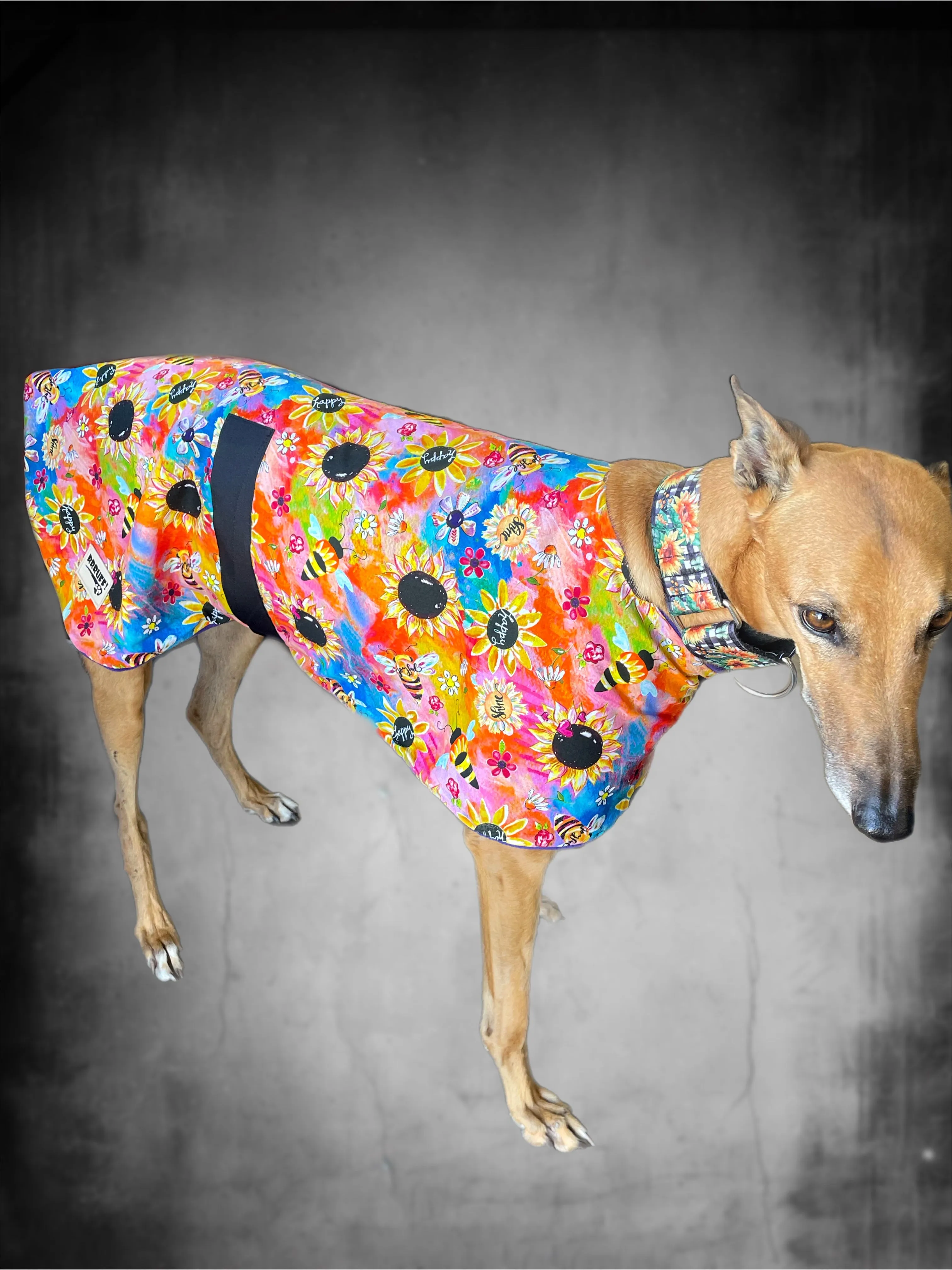 Happy buzz bees classic style Greyhound coat in a lightweight cotton & plush fleece combo washable