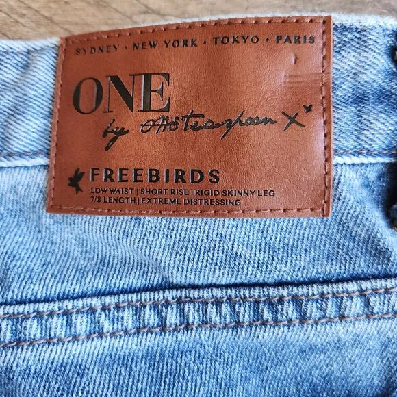 One x One Teaspoon Freebird Distressed Painted Rigid Skinny Jeans Ankle-Zip