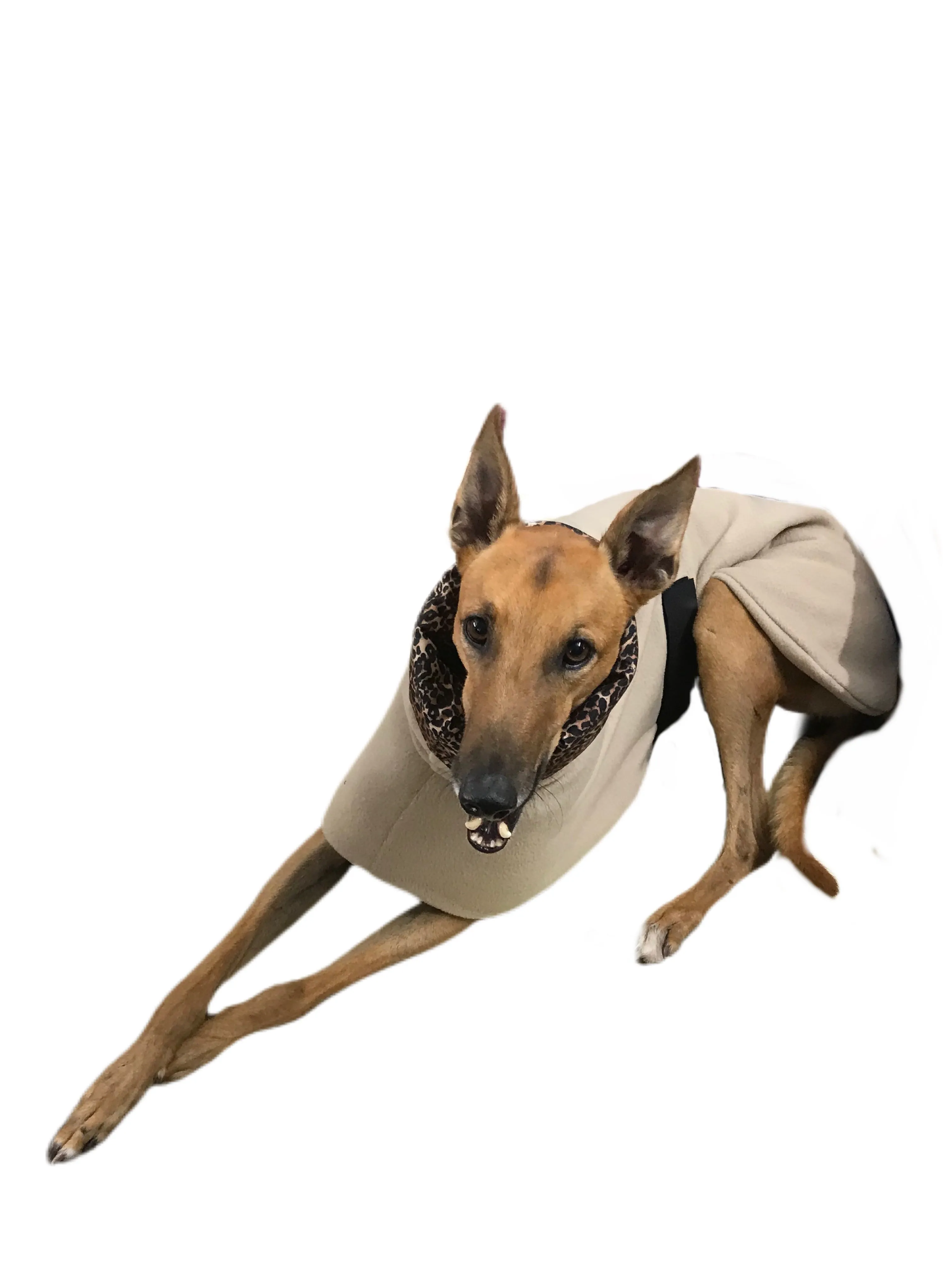 Simply beige Greyhound Deluxe coat rug thick polar fleece washable extra wide neck hoodie